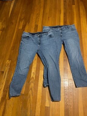 Lee Flex Motion Straight Leg Jeans Bundle (Size 24W) – 2 Pairs